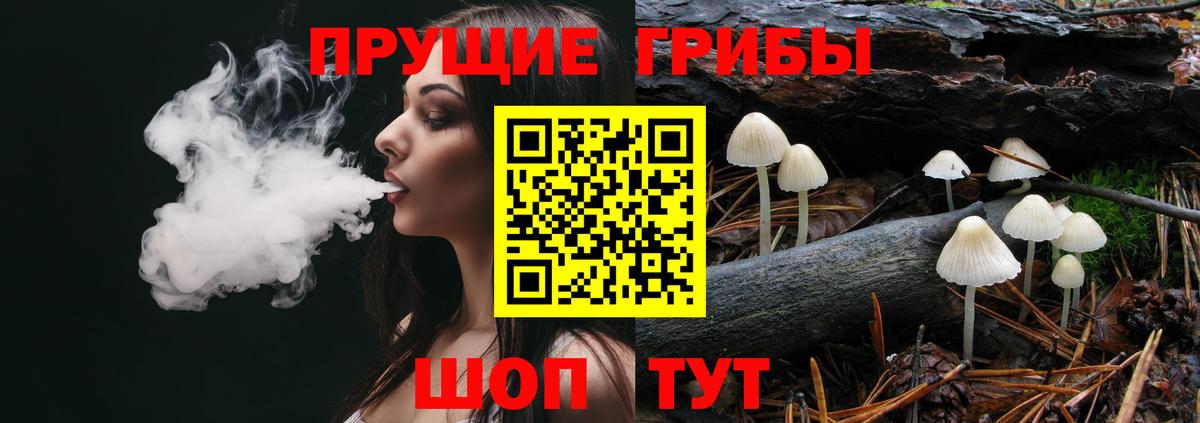 Псилоцибиновые грибы мицелий  Вход с VPN  закладка  Жигулёвск  Галлюциногенные грибы Magic Shrooms 